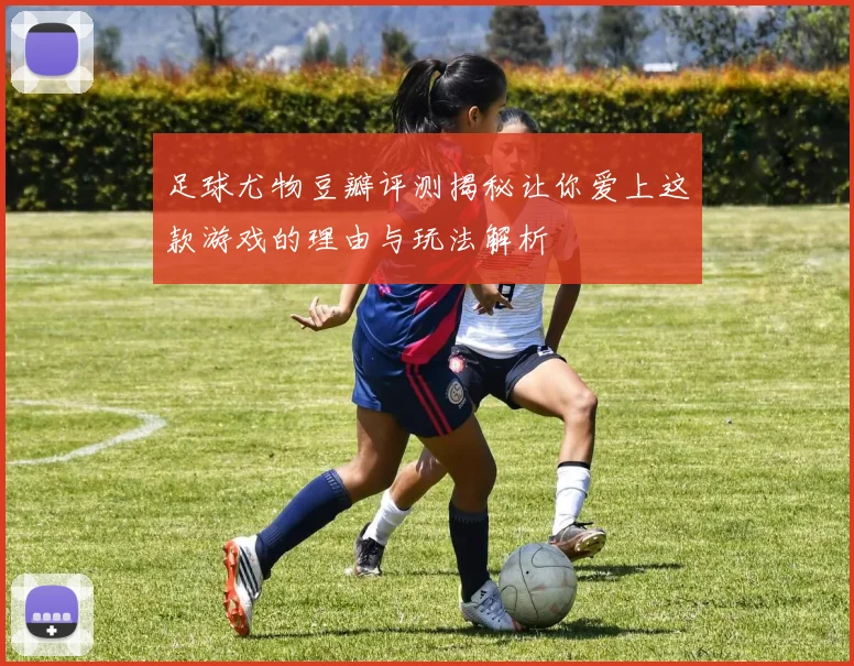 足球尤物豆瓣评测揭秘让你爱上这款游戏的理由与玩法解析