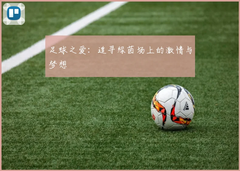 足球之爱：追寻绿茵场上的激情与梦想