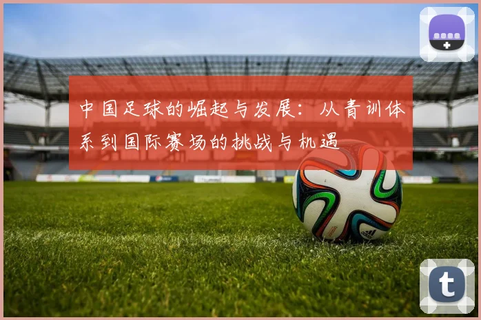 中国足球的崛起与发展：从青训体系到国际赛场的挑战与机遇