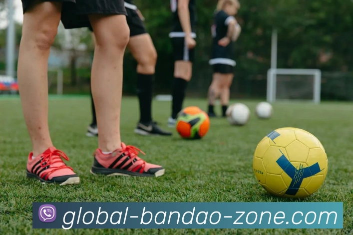 Bandao APP平台生态图