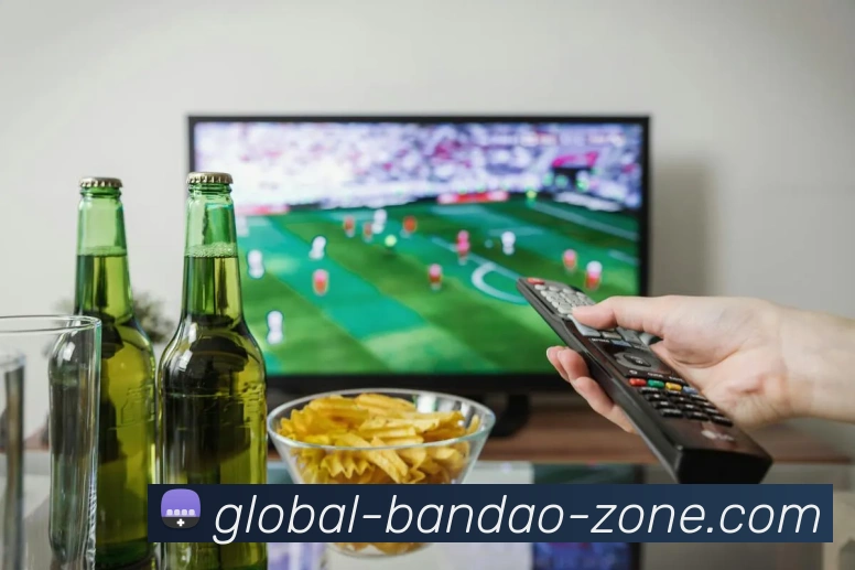 Bandao APP品牌故事